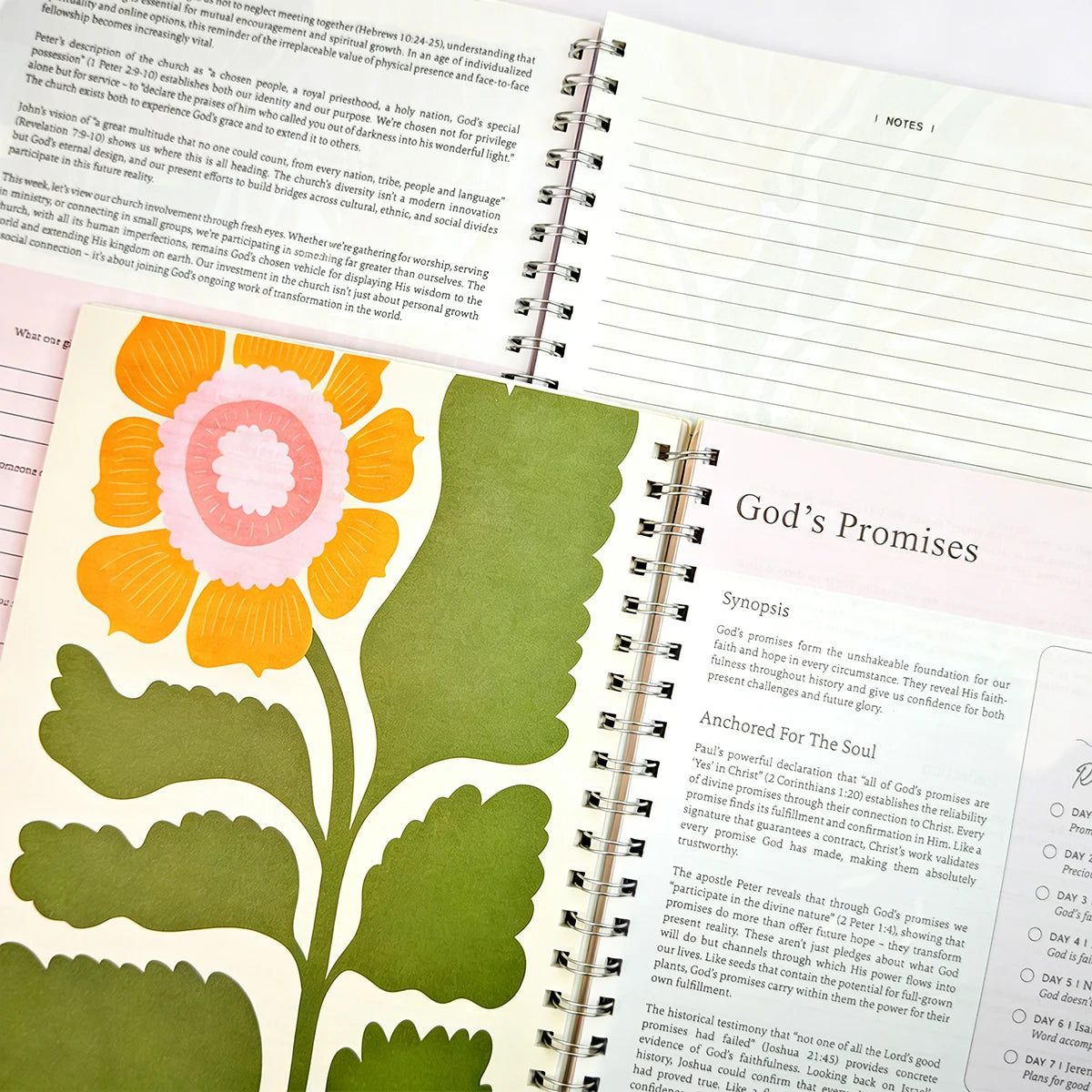 Resync Focus Journal — Bible In A Year Edition