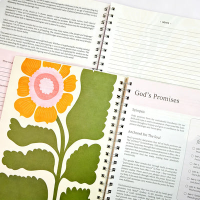 Resync Focus Journal — Bible In A Year Edition